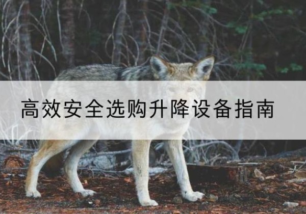 邢台升降货梯厂家推荐-*安全选购升降设备指南