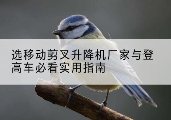 邢台电动升降机厂家-选移动剪叉升降机厂家与登高车必看实用指南